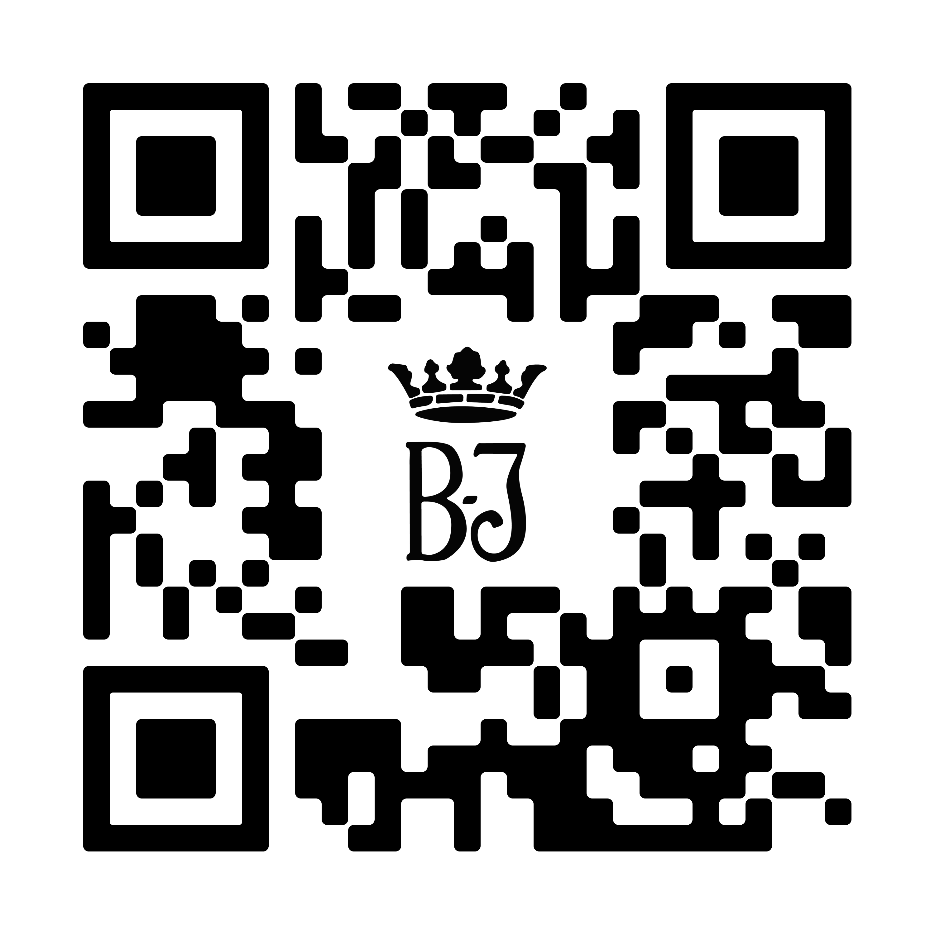 \\192.168.200.12\APyS\Bilder\Expertisen\QR-Shop.png