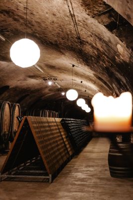 Öffentliche Kellerführung 04. April 2026 11 Uhr