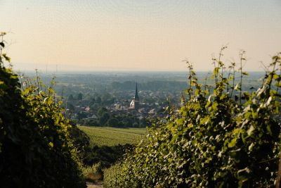GG-Wanderung  27. September 2025 10 - 14 Uhr